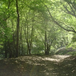 NooRoberts's profile picture. 