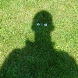 forumdachnikov's profile picture. 