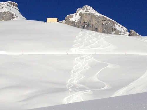 EndlessRide1854's profile picture. Check out Endless Ride Pro Shop for all your winter needs including rentals! We've got LibTech, GNU, Roxy, Jones, Movement and more!