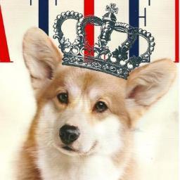 I'm Her Maj's favorite corgi.  I know all the dirt.
