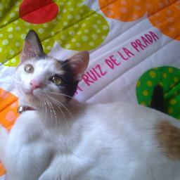 marlenybg's profile picture. 