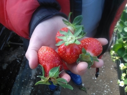 mrhomi07's profile picture. 새로운 교육을 꿈꾸는 맘