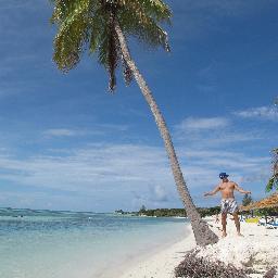 Zelu21's profile picture. Para ser un hombre perfecto basta con ser distinto al resto