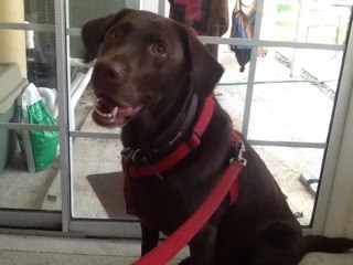 vigrimmett's profile picture. 