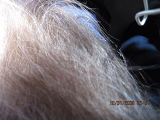 truthispure's profile picture. LXVI hoc ei propin abo. my hogan days singin in the Dreams are made of this living a subsistence level style.