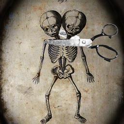 Sillycut's profile picture. Dark artist and jewelry maker, interested in all dark, weird, macabre and odd creations, seek and find beauty in the uncommon. Art is my oxigen.