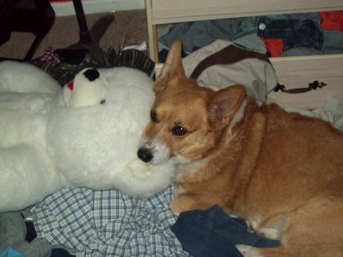 acer775's profile picture. 