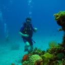 gilles robert - @gillesrobert - Twitter