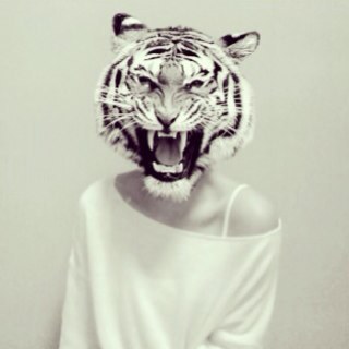 sylviahjx's profile picture. A sewing aficionado and maverick-wannabe.