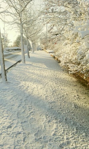 Uflow_'s profile picture. 