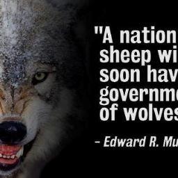 twrichards56's profile picture. 