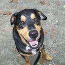 Sue Headley - @pinkzeke - Twitter