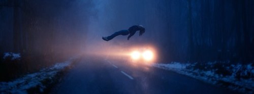 AnimalDetection's profile picture. World's leader in Animal Detection at night