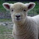 Jill Christopher - @BabydollSheep - Twitter