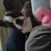 lala Vennat (@alexouil5) 's Twitter Profile