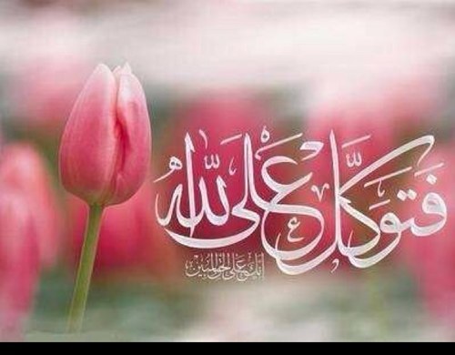 zahra24plstn's profile picture. أنَـا حُـلُـمٌ .. قَـلَـمٌ .. وأُمَّـــة ~