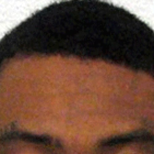 This is a parody account & has no affliation with rogers hairline