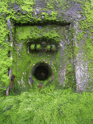 shocker12345678's profile picture. 