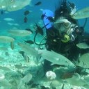 Rebecca - @BeckyBond1980 - Twitter