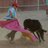 bsfl79's profile image