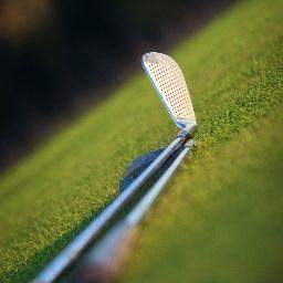 GolfDayspt's profile picture. 