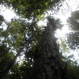 Thinking of the environment as an asset.