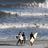 LBI_Homes's profile image