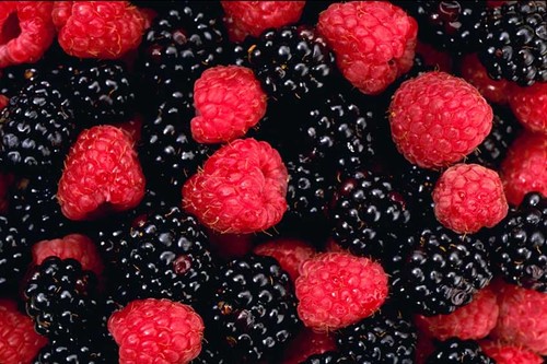 Frukt_STK's profile picture. 