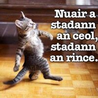 Roz (@wexfordrose) 's Twitter Profile Photo