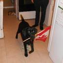 todd menard - @toddmenard1 - Twitter