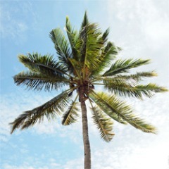 Made for beach walking! Get inspired soon...