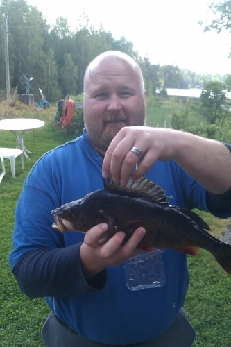 Putte_63's profile picture. 