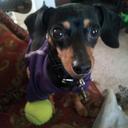 Jasper Wilson - @TheCudMuffin - Twitter