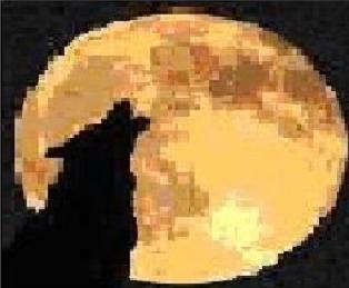 EventClub4Women's profile picture. We're creating a club for women. Every female over the age of 18 in the US and Canada who has a man is her life needs to be a part of this. No MEN No Porn