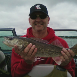 dewild_david's profile picture. Husband, father and teacher. All tweets/opinions are my own.