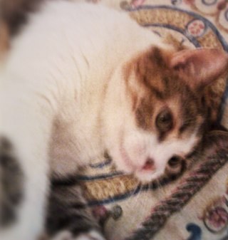 _txali_'s profile picture. 