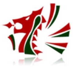 The WKGB Ltd is the only Sport Wales recognised National Governing Body for Karate in Wales.