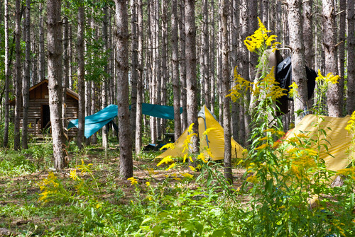 Rybale13's profile picture. For the Spread and advancement of Bushcraft