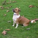 gary littell - @glittell1 - Twitter