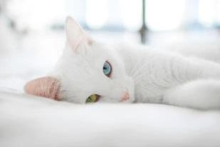 bandi_katia's profile picture. 