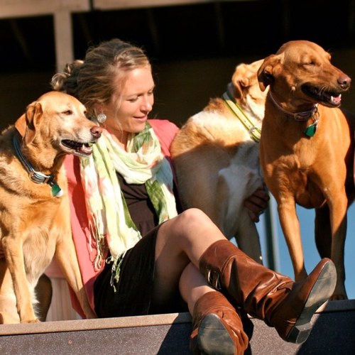 Waggy Tails Pet Sitting + Dog Walking, LLC offers professional in-your-home care for pets in Knoxville and Oak Ridge, TN. Daily Dog Walks * Vacation Pet Sitting