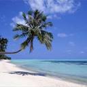 Dawn Hans - @dawnhans - Twitter