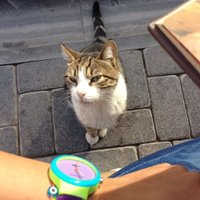 EsraHusrev (@esrahusrev) Twitter profile photo
