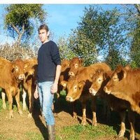 piganiol joel (@joelpiganiol) 's Twitter Profile