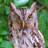 Nature_Fix's profile image