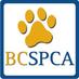 BC SPCA West Van (@westvanbcspca) Twitter profile photo