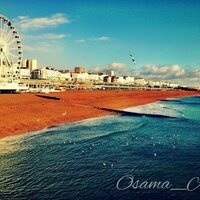 layla (@99llo) 's Twitter Profile