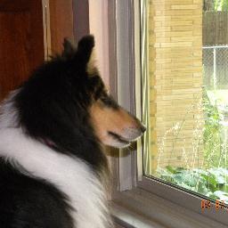 LeahKOMalley's profile picture. 