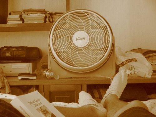 AdrianoGontijo's profile picture. Está na plaqueta.