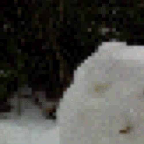 KayleighAnn1989's profile picture. 